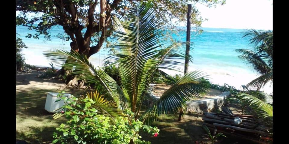 Port Antonio Brian'S Beach House Exterior foto