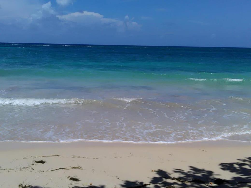 Port Antonio Brian'S Beach House Exterior foto