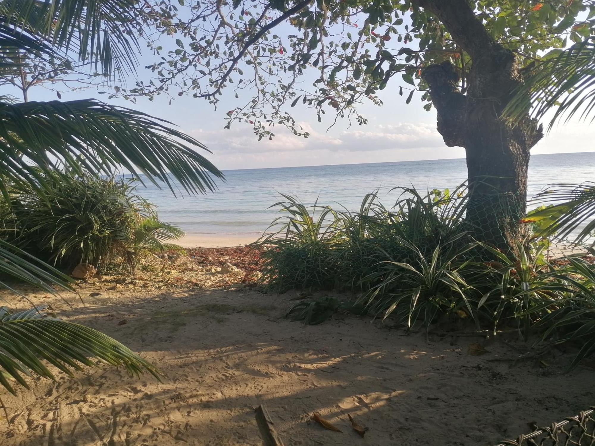 Port Antonio Brian'S Beach House Exterior foto