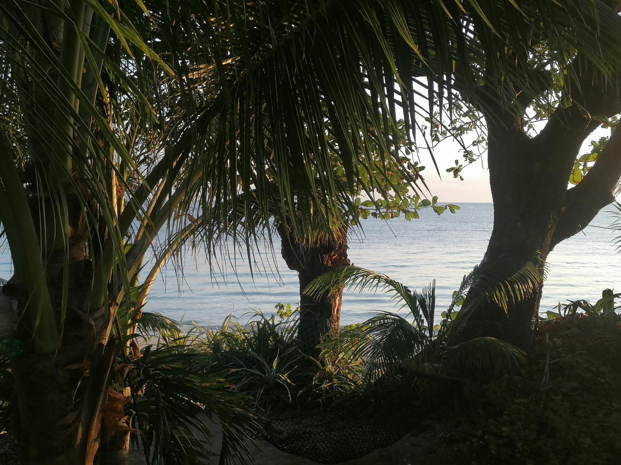 Port Antonio Brian'S Beach House Exterior foto