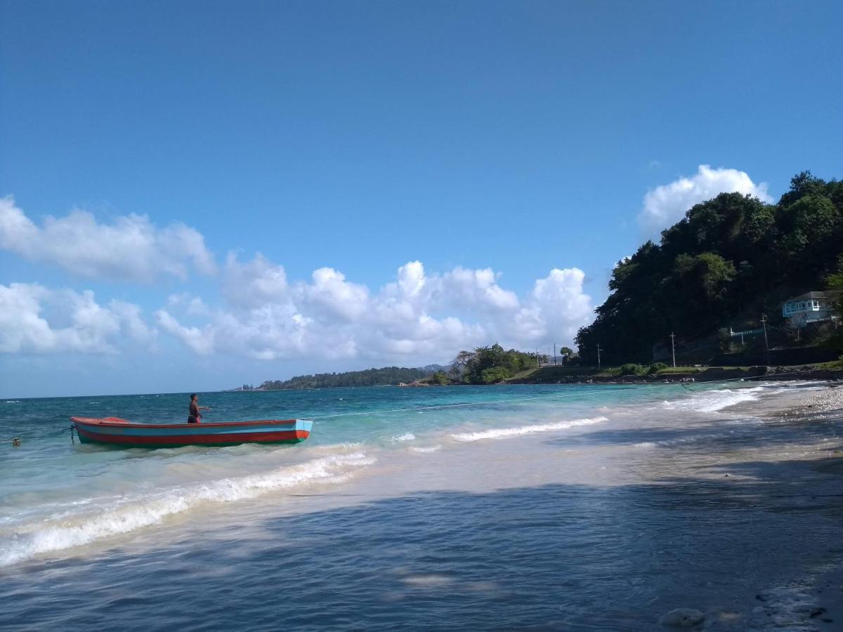 Port Antonio Brian'S Beach House Exterior foto