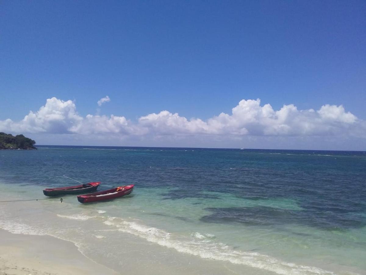 Port Antonio Brian'S Beach House Exterior foto