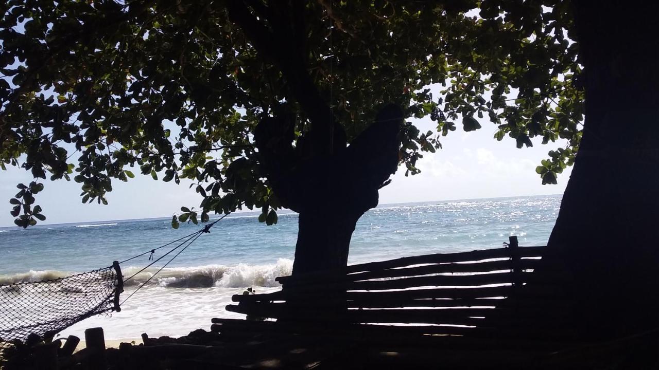 Port Antonio Brian'S Beach House Exterior foto