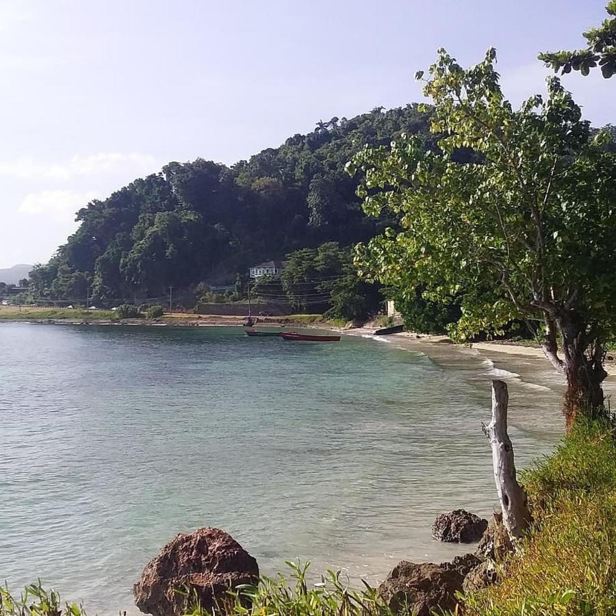 Port Antonio Brian'S Beach House Exterior foto